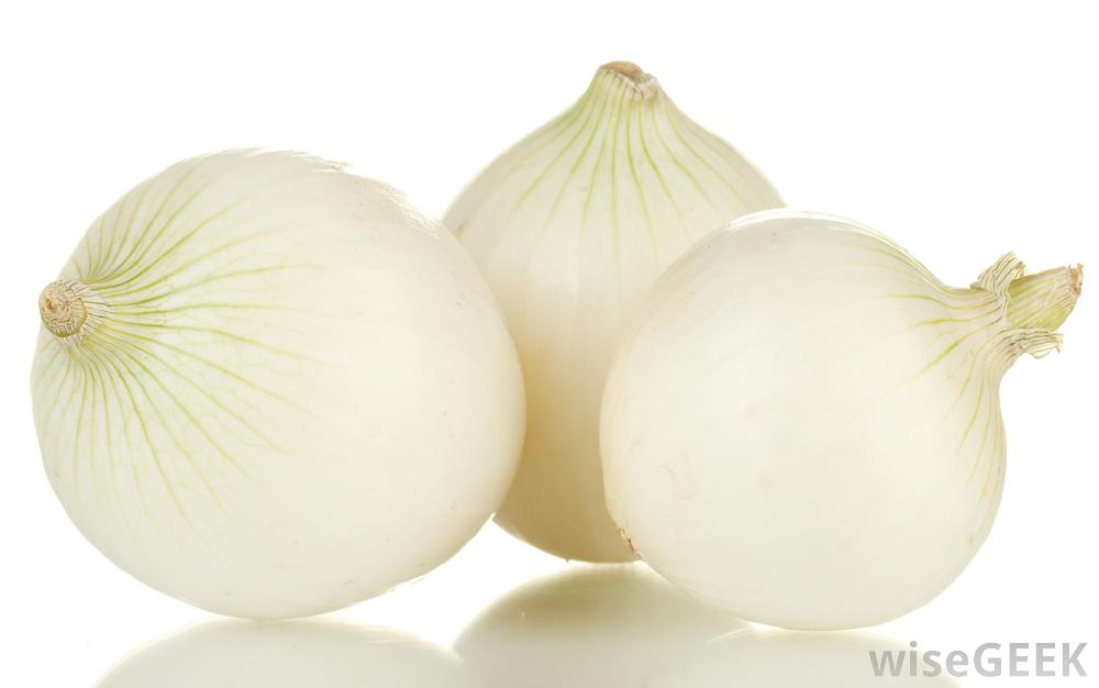 White onion ass